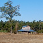 Barn