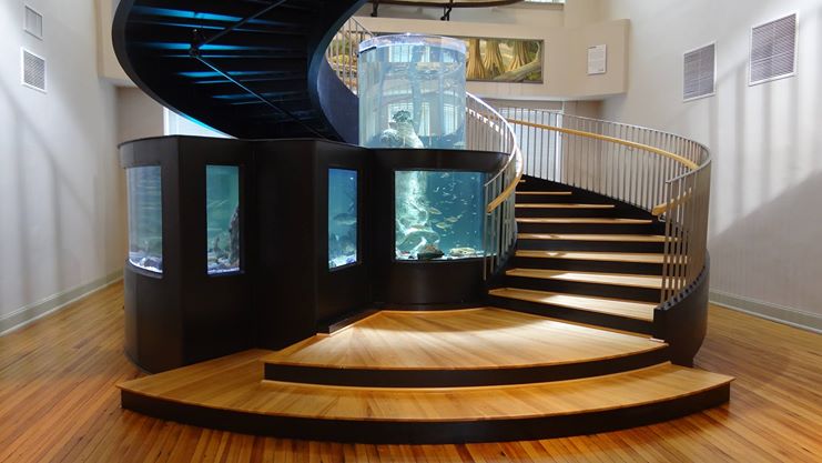 Tanked at Horry County Museum