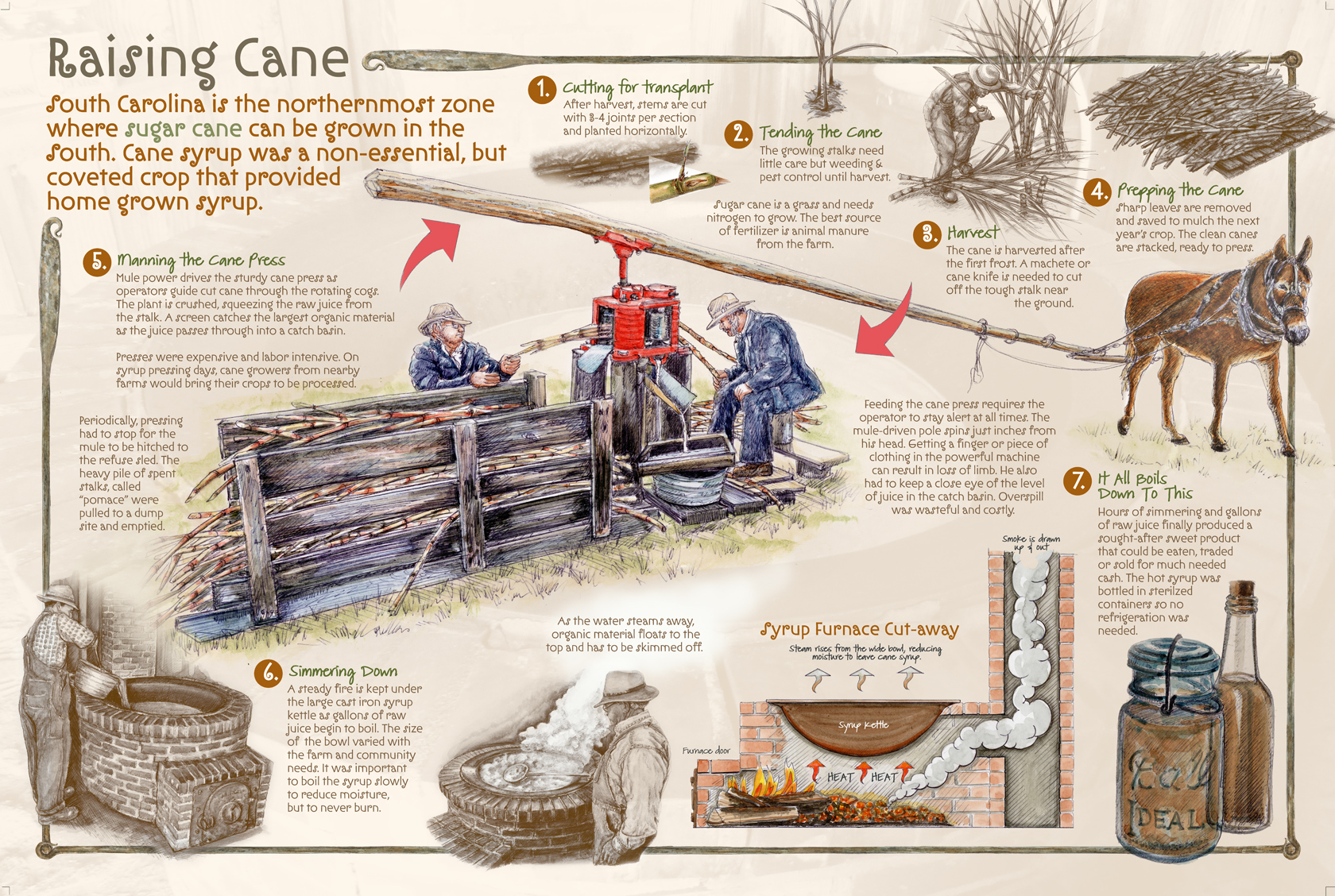 Raising Cane